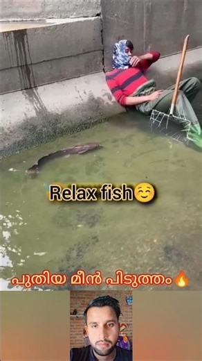 പുതിയ മീൻ പിടുത്തം #mallutraveler#fishingfreaks#shortsX#mallu#malayalam#m4tech
