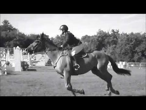 Hello -Conor maynard