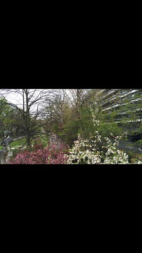 Accès principale du square Foch  (05 vril 2022, Dji mavic mini) #petitquinquin #natureenville #parcsetjardins #squarefoch #villedelille #lillefrance #lillemaville #lilleaddict #lillemetropole #metropoleeuropeennedelille #metropolelilloise #departementdunord #regionhautsdefrance #euroregion | Vianney Allsky | Facebook