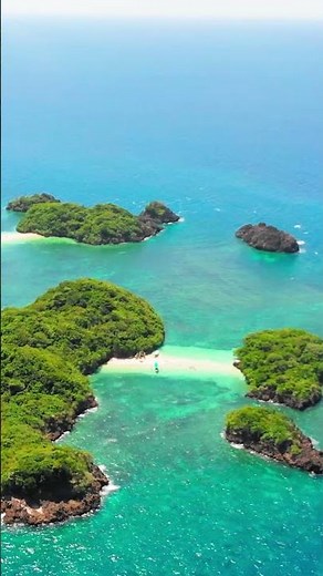 8 Hours Music NO ADS for Relaxing Piano🍀Nice for Study, Work, Meditation & Deep Sleep