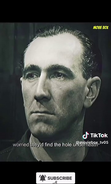 🎥 “The movie everyone’s talking about—but do you really know what happened? Let me explain 👇” Follow for more 🤩😎 #moviebox #movie #fyp #viral #filmbreakdown #