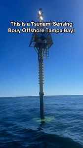 6.9K views · 23 reactions | This is a Tsunami sensing bouy we found offshore of Tampa bay! It was recently installed by USF in the beginning of the year. #fishing #offshore #boating | Groupermvp | Facebook