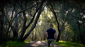 Planning a trip? There’s plenty to discover in the Salisbury region, you might be surprised by what you find. Salisbury is full of hidden gems waiting for you to explore! View some highlights in the below video and visit the website for all the attractions at: www.discoversalisbury.com.au | Discover Salisbury