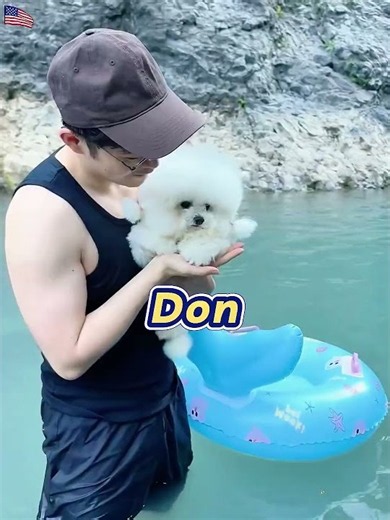 Taking My Dog Swimming for the First Time! 🐾 (She's a Natural!)#Shorts #foryou#Cat#Dog#Cute