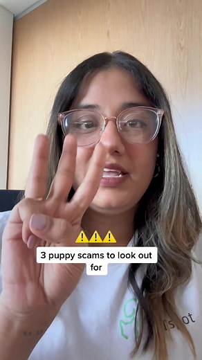PETspot on TikTok