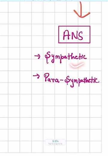 Frog Nervous System Explained in 30 Sec! 🐸🧠 #biologyfacts #biology #neetmotivation