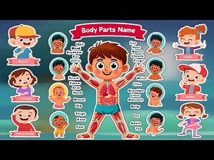 👶 Learn BODY PARTS for Kids! | Fun & Easy Anatomy for Toddlers & Preschoolers 🦶🧠👀