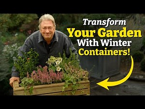Transform Your Dull Winter Garden With These Stunning Containers!