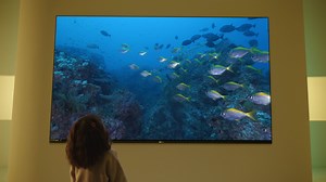 海信第七代画质芯片——信芯AI画质芯片H7 光色同控