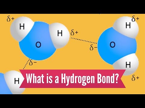 What is a Hydrogen Bond?