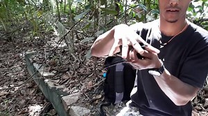We thought we’d share an inspiring story about a critically endangered species and it’s new chance at recovery. You know, because ‘new year, new me’ can also apply to animals. The Seychelles paradise flycatcher, a bird species native to the islands of Seychelles, are thought to number in barely the 100s. In other words, they’re nearly gone. The island of Curieuse, where our coastal and wildlife conservation base is situated, is providing new hope for the species. Together with the Darwin Initiat