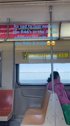 ‪@mtainfo‬ Please Bring them back, the A line is Struggling right now😭