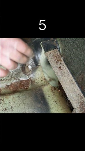 Mouse Count (Double digits)- 1975 240D