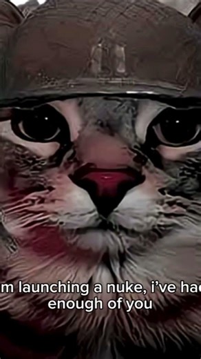 ummmmm #meme #phantom #cat