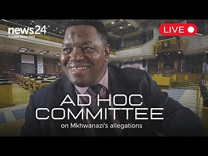 WATCH LIVE | Ad Hoc Committee hears evidence from Fannie Masemola