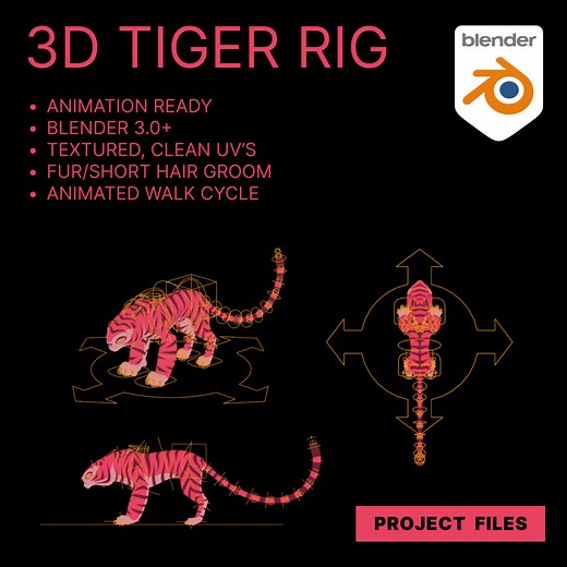 3D Tiger Rig - FREE - Animation Ready! BLENDER 3.0