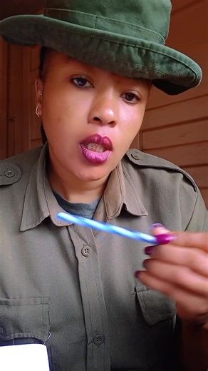 Creative Ways to Use Candy Canes in Decor