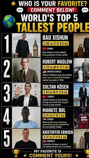 Who Is The Tallest Person In The World? 👑