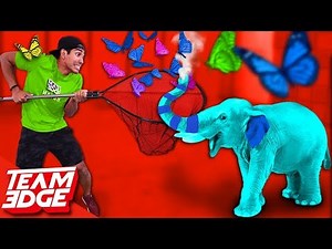 GIANT Elefun Challenge!!