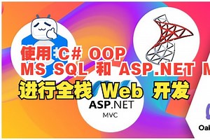 使用 C# OOP、MS SQL 和 ASP.NET MVC 进行全栈 Web 开发-下（中文字幕）