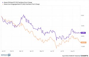 Why Are TIPS Losing Money With Inflation at 9%? - A Wealth of Common Sense