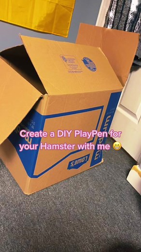 DIY Hamster Playpen: Creative Ideas for Your Furry Friend