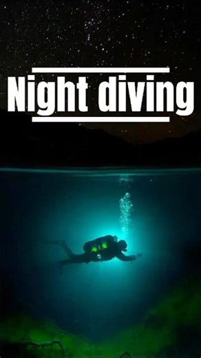 🌊✨ Night diving: the ocean’s most thrilling double life. #shorts