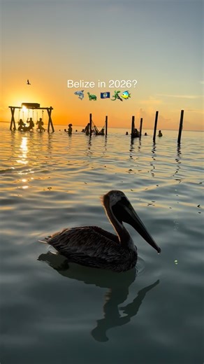 Roni | Latin America Travel on Instagram: "let’s go??? 🐠🇧🇿✨ hi, I’m Roni and I’ve been traveling round Latin America for over 3 months! Belize is the only country in Central America where its first language is English, not Spanish. the Caribbean vibes here are INCREDIBLE! I’m talking dancehall, fryjacks and lots of rum punch🍹 the places I stayed were Caye Caulker & San Ignacio. more videos coming soon on what to do, how to get there from Mexico (border crossings can be fun) and which compani