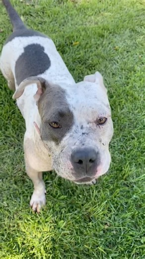 My princess loves puddles