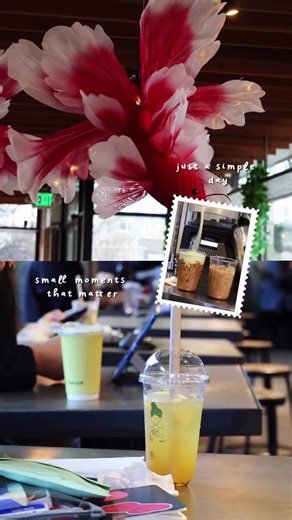 Sip House, Seattle Wa