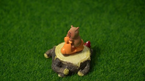Mini Capybara Figurines, 13 Pack Miniature Cute Capybara Resin Animals for Fairy Garden Bonsai Miniature Landscape Desktop Dollhouse
