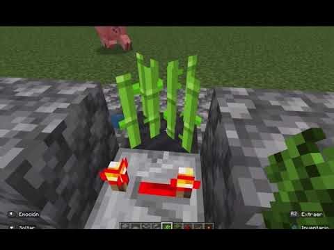 Simple sugar cane farm