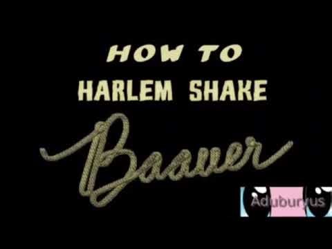 (Aduburyus/XlethYireh REUPLOAD) Do The Harlem Shake Sparta Remix