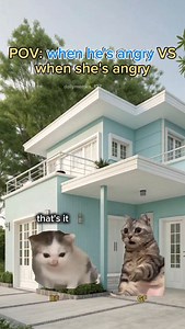 134K views · 1.5K reactions | When he's angry vs when she's angry 藍藍 #memes #catmemes #trendingréels #funnyvideos #fypシ❤️❤️ #relationships #catvideo #couplegoals #foryou #viral | Daily Memes | Facebook