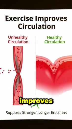 Blood Flow & Erections Fix ED Naturally Educational Animation