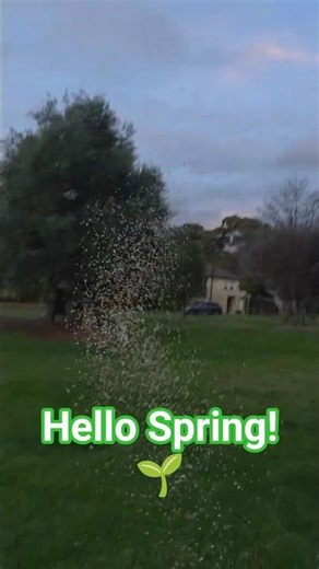 Hello, Spring! #shorts