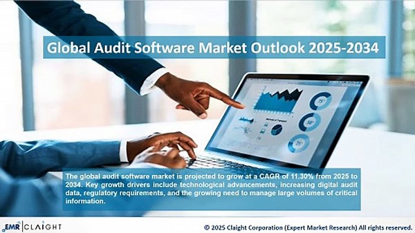 Audit Software Market Growth & Trends 2025-2034 | Industry Analysis