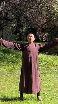 I Feel so GROUNDED and CALM when I Practice this Belly Breathing Exercise Daily#shorts