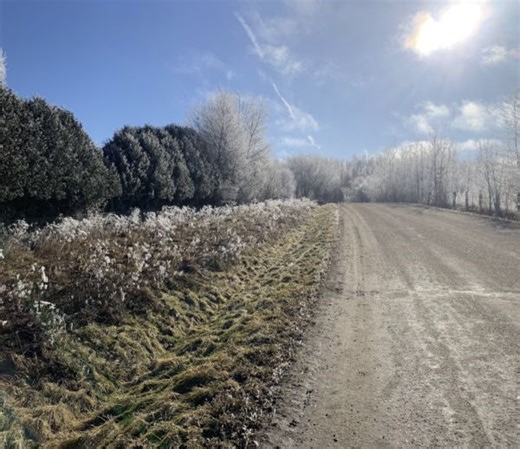This winter phenomenon creates a spectacular scene - The Weather Network