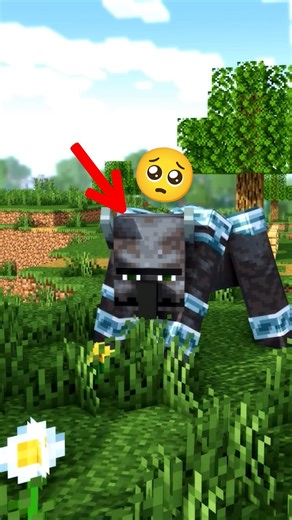 loyalty = dog ❌️ ravager