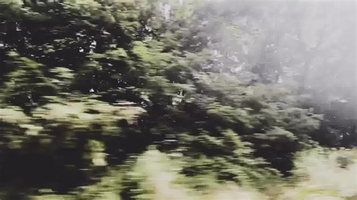 Don’t miss out on incredible savings all month long — from unbeatable lease offers to special financing on our most popular Ford models. Whether you’re looking for a rugged truck, a family-friendly SUV, or a fuel-efficient daily driver, there’s never been a better time to buy. | Zeigler Ford Plainwell