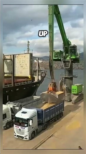 🚢 How Do Tons of Wheat Get Unloaded from Ships?