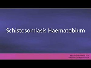 Pronunciation of the word(s) "Schistosomiasis Haematobium".