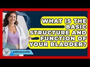 What Is The Basic Structure And Function Of Your Bladder? - Bladder Health Support