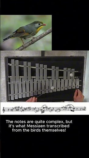 The OTHER Messiaen "Exotic Birds" part... 🐦 (Glock)