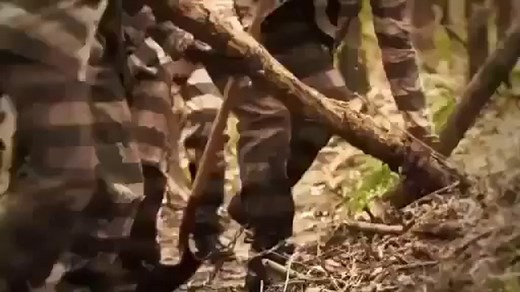 Slavery by Another Name-Part 1 (PBS Documentary 2012)