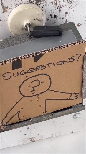 Fake gun! Daisy Red Ryder! #plinking #bbgun #target shooting #rifle #winchester #wildwest #cowboy #tinshooting