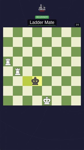 Ladder Mate - How to Checkmate! #chess #endgame #checkmate