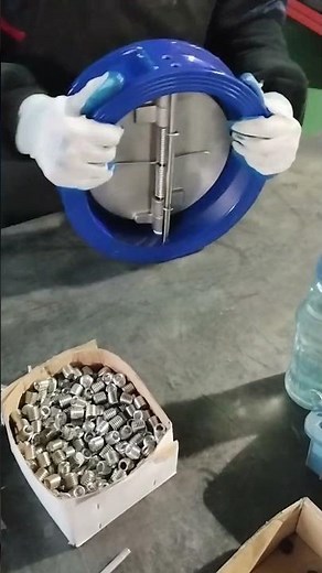 Butterfly check valve installation process