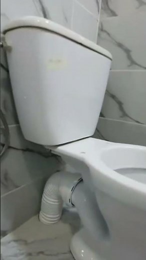 How to Install a Toilet Seat Step by Step | Easy DIY Plumbing Guide